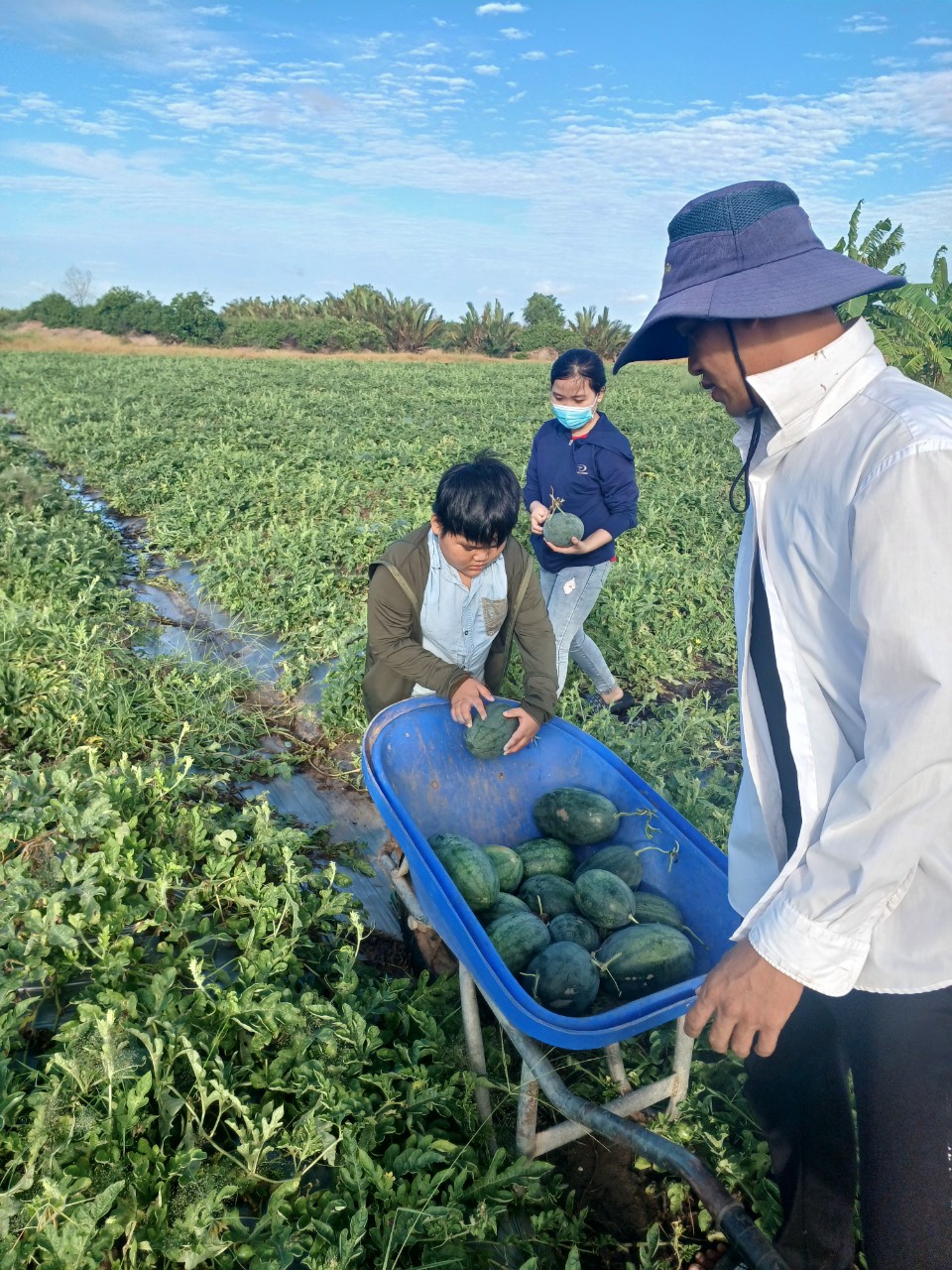 Về quê nghỉ hè